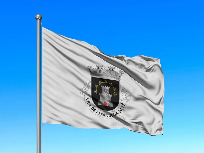 Bandeira do Município de Alfândega da Fé em mastro