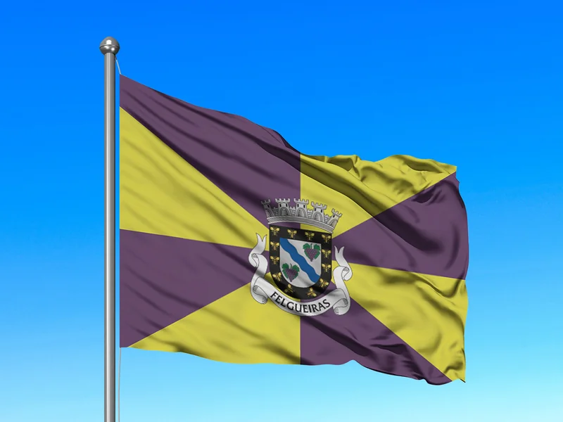 Bandeira do Município de Felgueiras em mastro