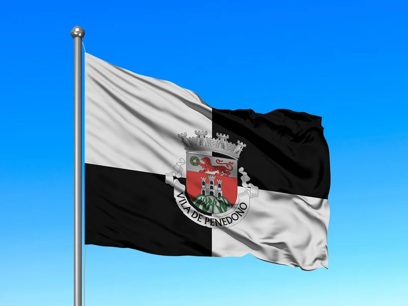 Bandeira do Município de Penedono em mastro