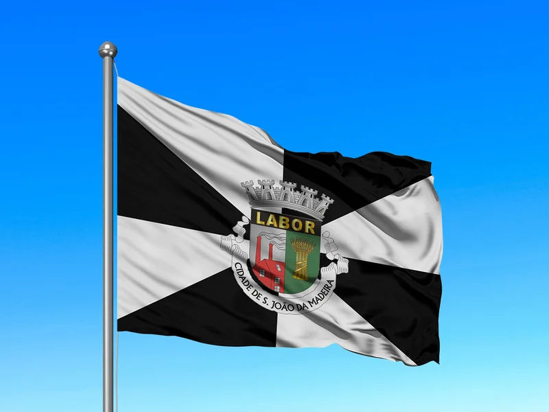 Bandeira do Município de São João da Madeira em mastro