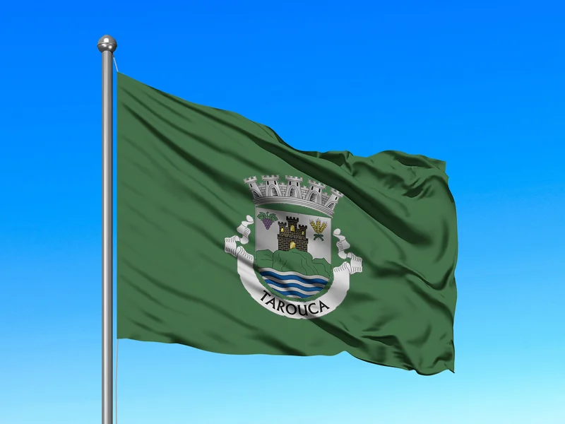 Bandeira do Município de Tarouca em mastro