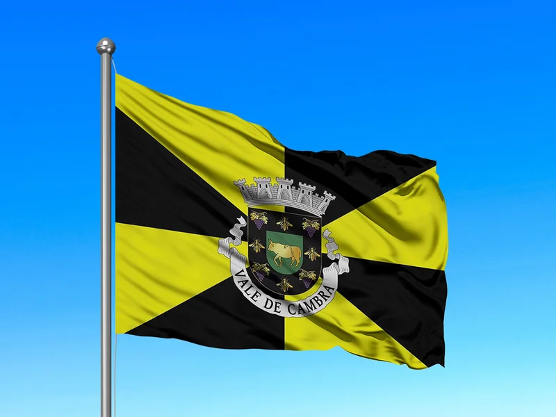 Bandeira do Município de Vale de Cambra em mastro