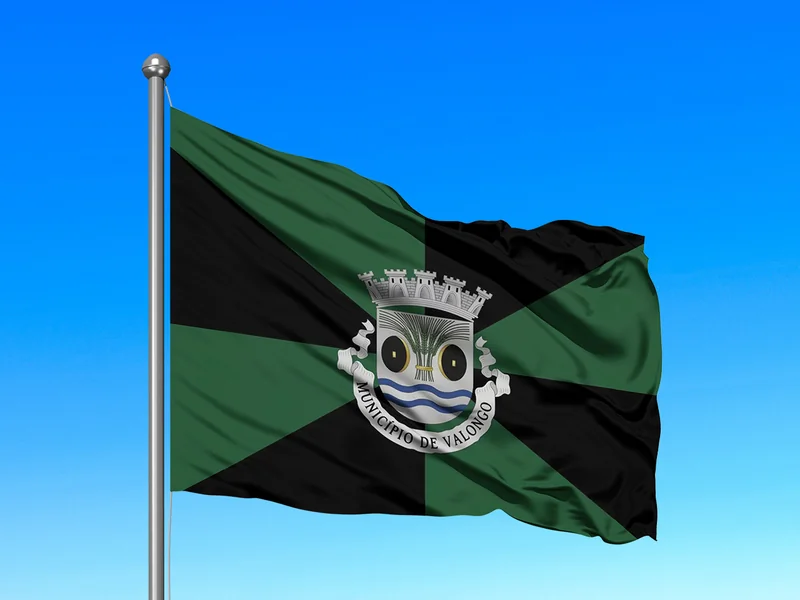 Bandeira do Município de Valongo em mastro