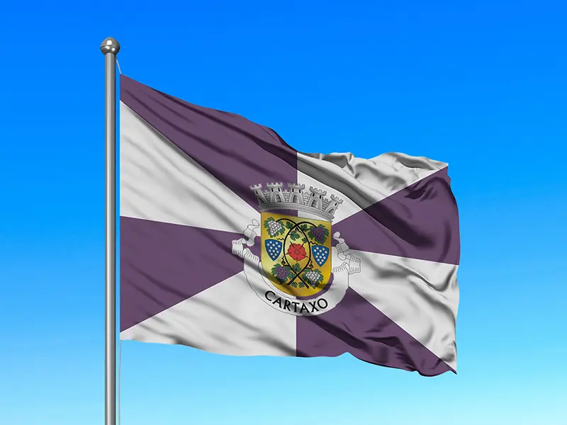 Bandeira do Município de Cartaxo em mastro