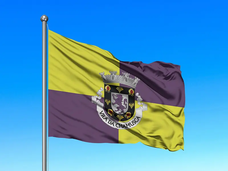 Bandeira do Município de Chamusca em mastro